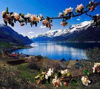 レイキヒーリング養成講座